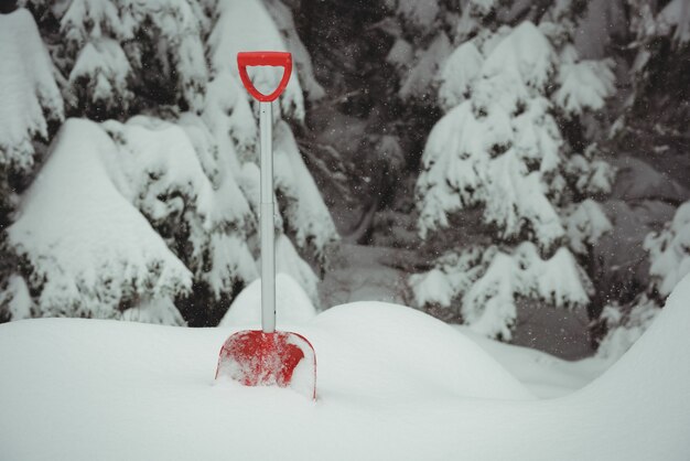 Trabalhar com pá em uma paisagem de neve