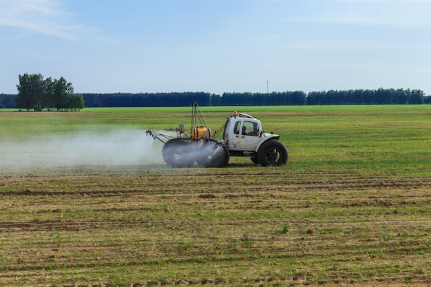 Trator pulveriza fertilizantes químicos líquidos em plantações de milho
