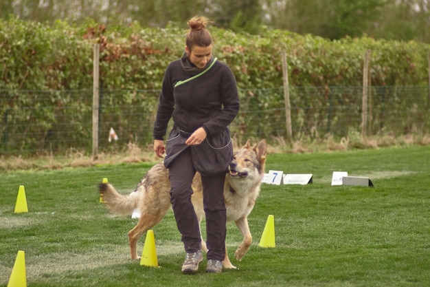 Treinador de cães enquanto treina um cão lobo # 4 Foto Premium