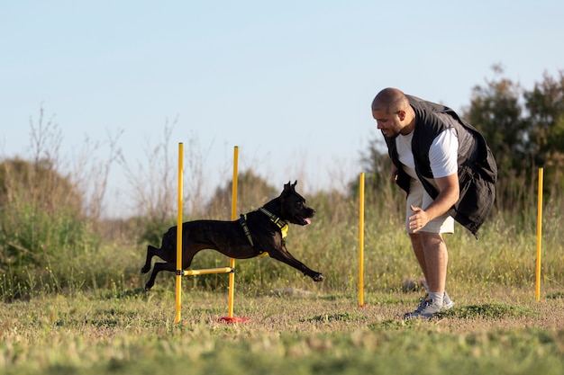 Treinador de cães ensinando cachorro a correr através de obstáculos