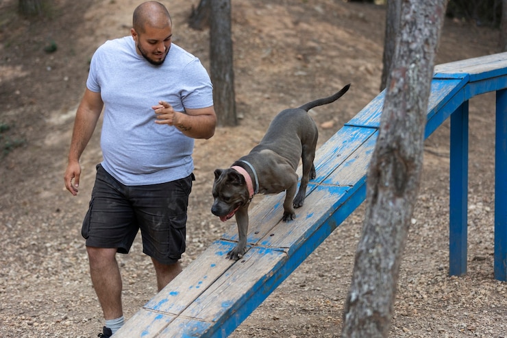Foto grátis treinador de cães machos ao ar livre com cachorro durante a sessão