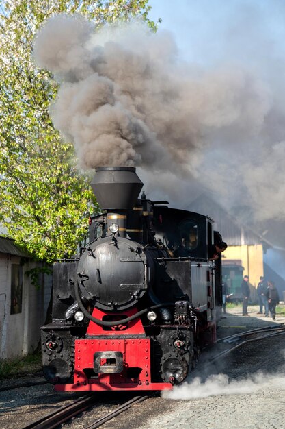 Trem a vapor Mocanita em uma estação ferroviária Romênia