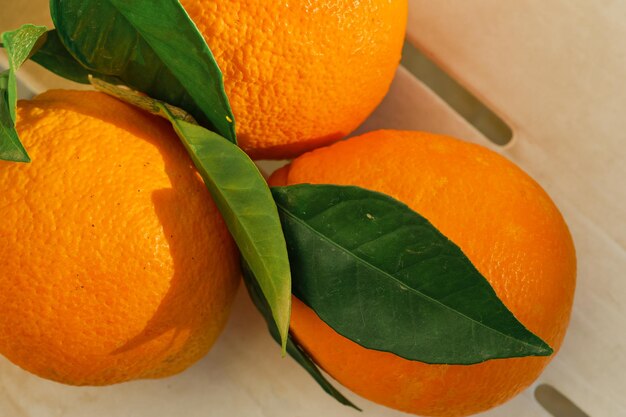 Três laranjas suculentas com folhas de perto vista de cima frutas cítricas recém colhidas na luz solar brilhante foco seletivo frutas cítricas maduras no café da manhã e suco