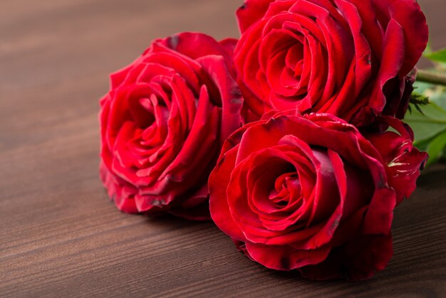 Três rosas vermelhas em plena floração na mesa de madeira escura