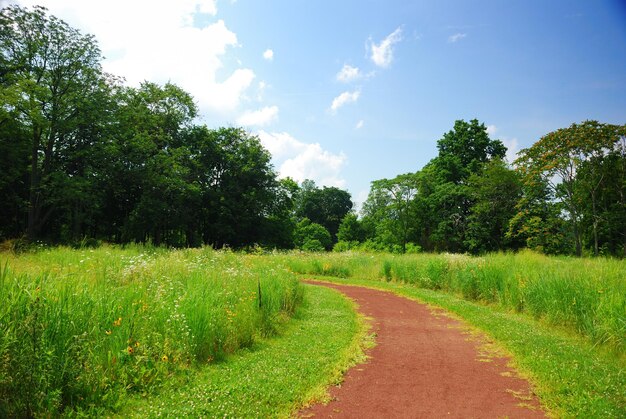 Trilha rural tranquila