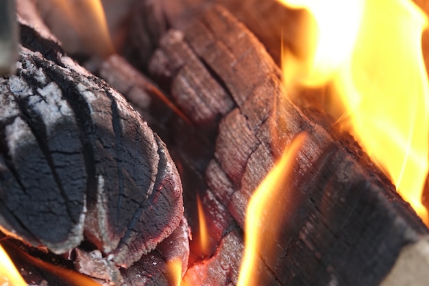Foto grátis troncos em chamas