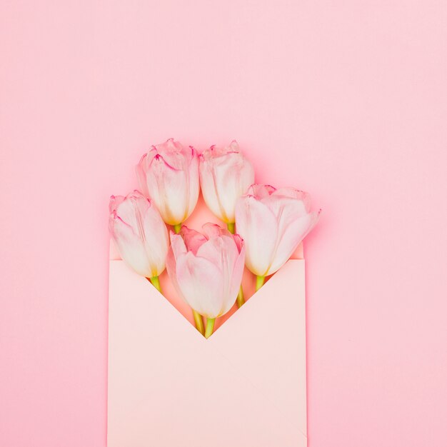 Foto grátis tulipa flores em envelope na mesa