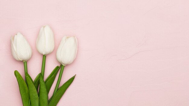 Foto grátis tulipas de dia das mães com espaço de cópia