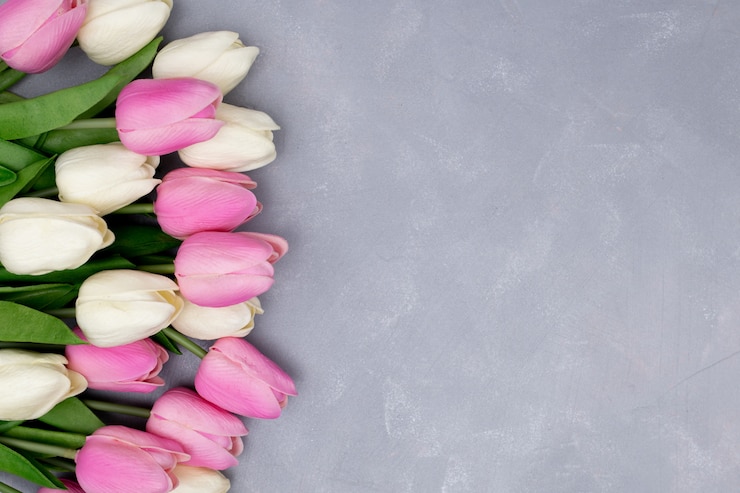 Foto grátis tulipas