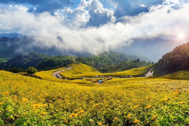 Tung Bua Tong ou campo de girassol mexicano na província de Mae Hong Son, na Tailândia