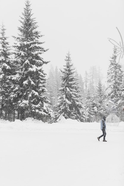 Foto grátis turista caminhando em madeiras nevadas