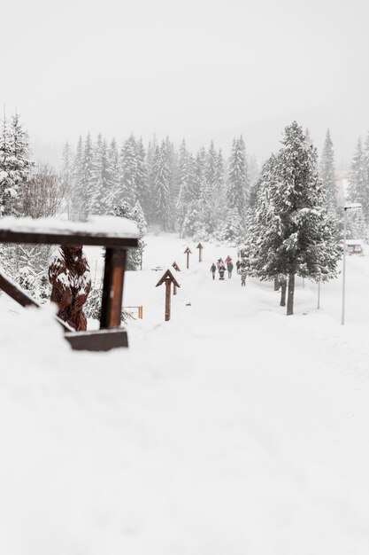 Turistas irreconhecíveis na natureza do inverno