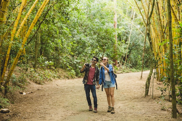 Turistas que olham árvores de bambu