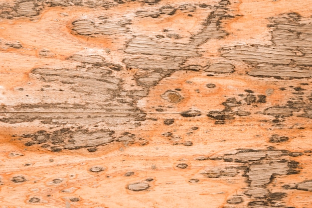 Um antigo plano de fundo texturizado de madeira
