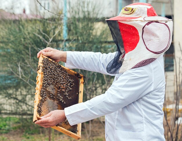 Um apicultor em uniforme de trabalhador branco colocando colméia com mel e um monte de abelhas nele.