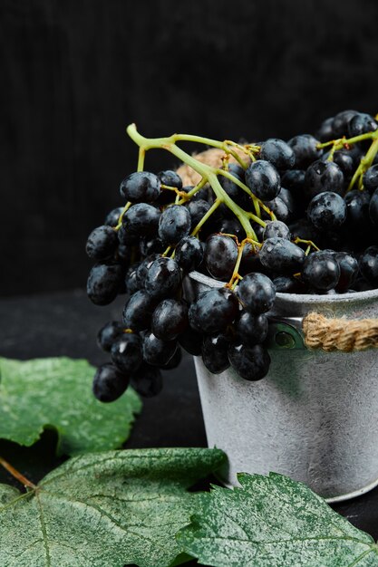 Um balde de uvas pretas com folhas em fundo preto. Foto de alta qualidade