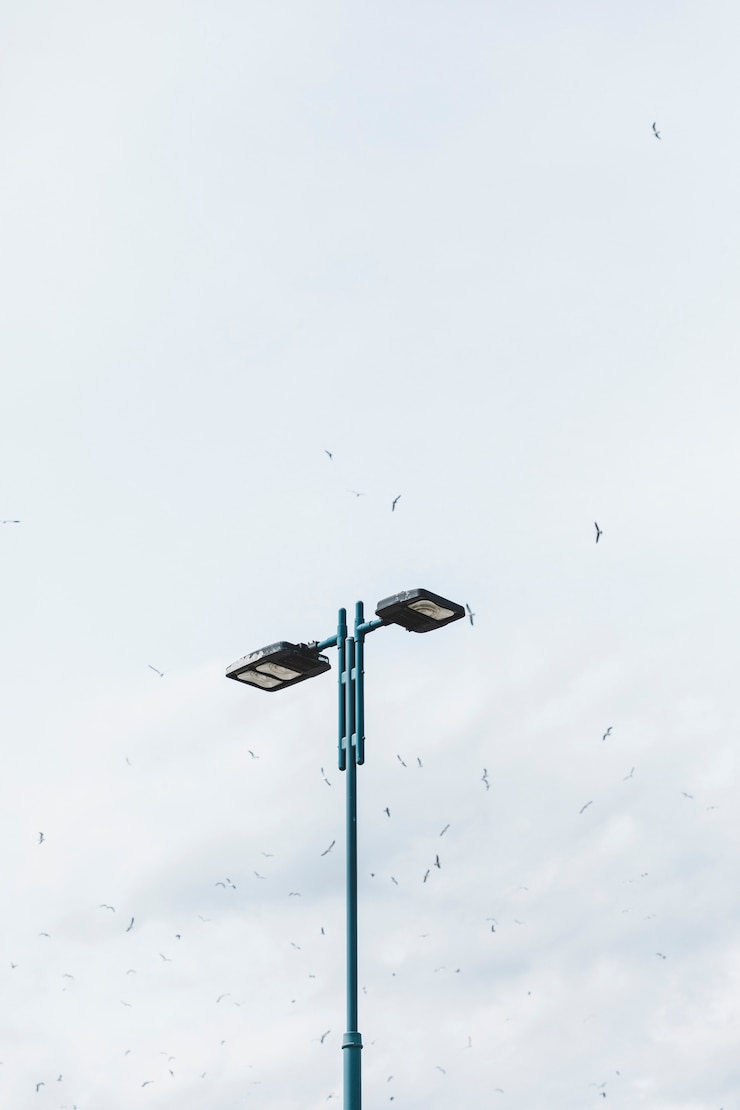 Foto grátis um bando de pássaros a voar sobre a luz da rua contra o céu