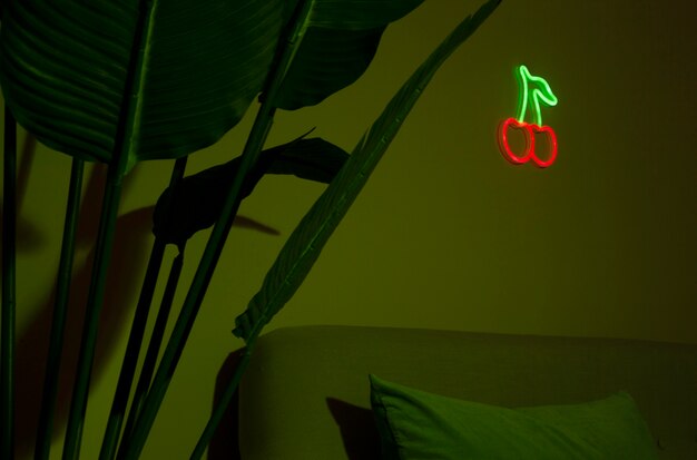 Um belo cacto de cereja no quarto.
