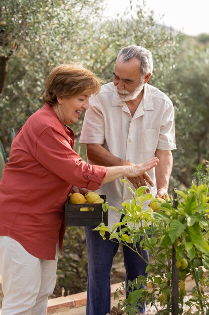 Um casal idoso colhendo legumes no jardim de sua casa no campo