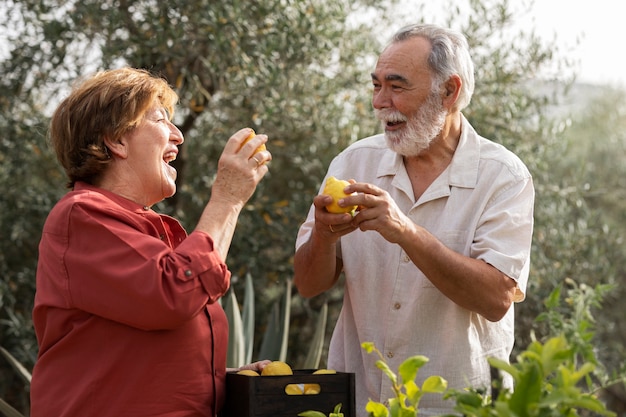 Um casal idoso colhendo legumes no jardim de sua casa no campo