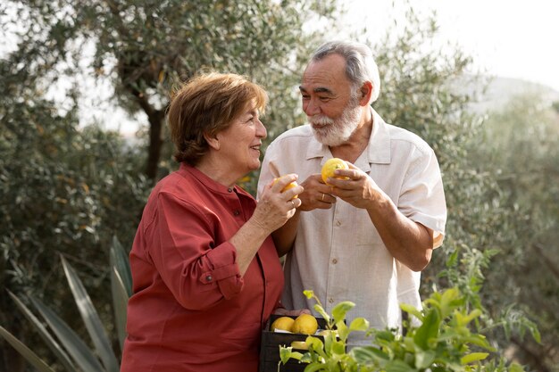 Um casal idoso colhendo legumes no jardim de sua casa no campo