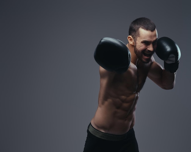 Um desportista caucasiano sem camisa brutal em treinamento de luvas de boxe isolado em um fundo cinza.