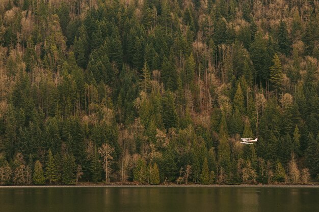 Um hidroavião voando baixo acima de um lago