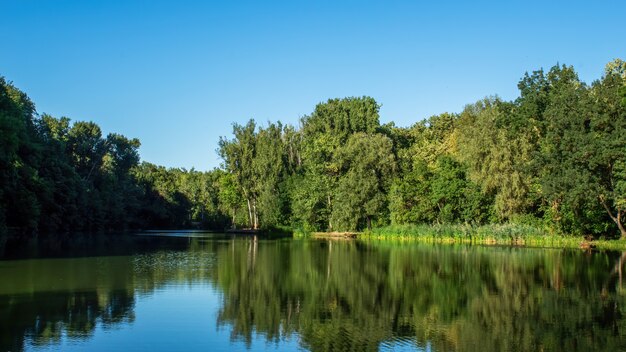 Um lago com muitas árvores verdes refletidas na água em Chisinau, Moldávia