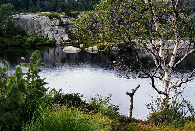 Um lago com o reflexo de árvores cercado por formações rochosas em Preikestolen, Noruega