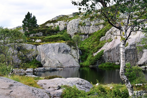 Um lago com o reflexo de árvores cercado por formações rochosas em Preikestolen, Noruega