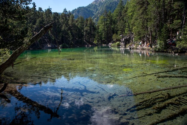Um lago verde na montanha