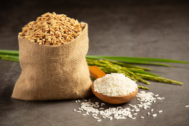 um saco de sementes de arroz com arroz branco em uma pequena colher de madeira e planta de arroz