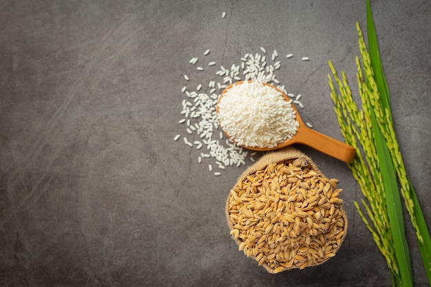 Um saco de sementes de arroz com arroz branco em uma pequena colher de madeira e planta de arroz