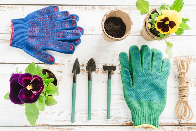 Um, visão aérea, de, amor-perfeito, flor, turfa, pote, com, mini, equipamento jardinagem, ligado, escrivaninha madeira