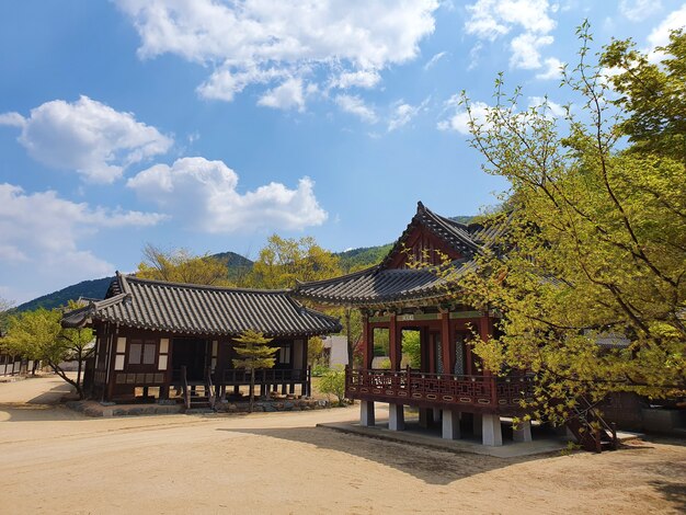 Uma bela foto de casas em estilo japonês sob um céu azul