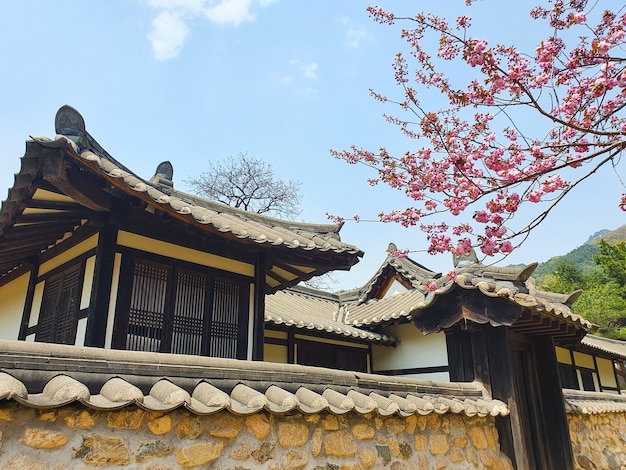 Uma bela foto de edifícios em estilo japonês sob um céu azul