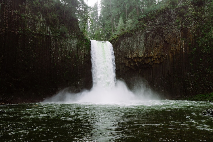 Foto grátis uma bela foto de uma cachoeira na floresta cercada por árvores altas