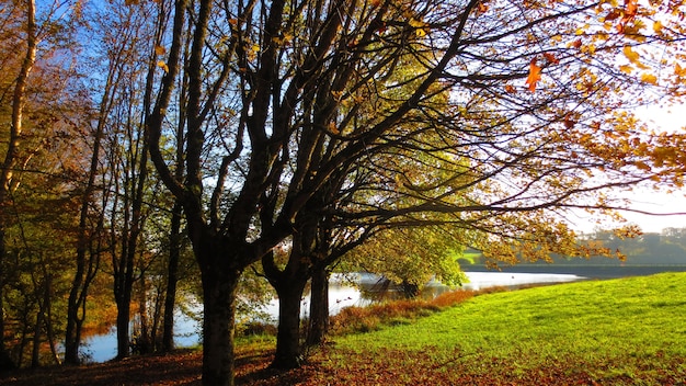 Uma bela vista de um parque com um lago no outono