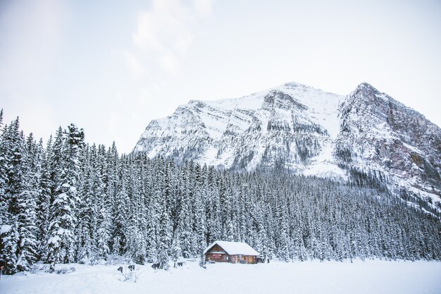 Uma cabana em um campo nevado com montanhas rochosas e uma floresta