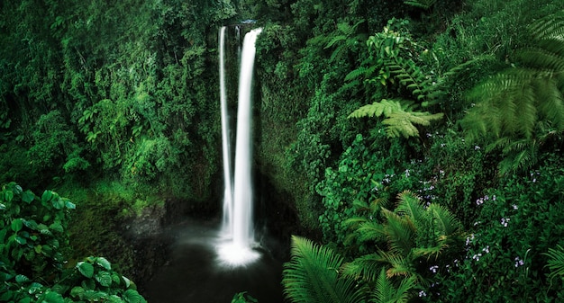 Uma cachoeira em Samoa