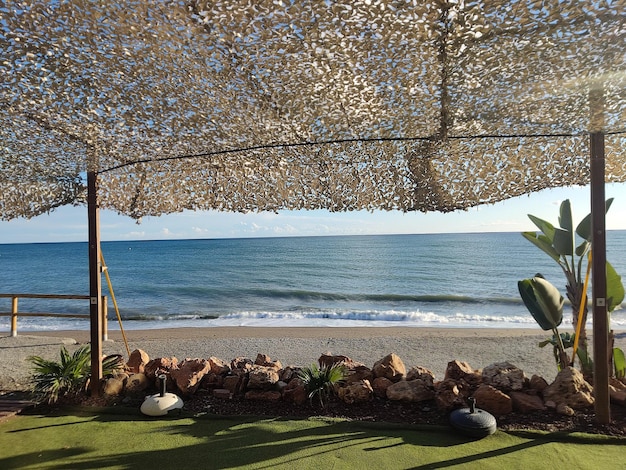 Foto grátis uma cena de praia e uma palmeira