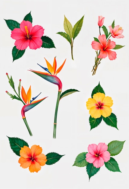 Uma coleção de flores, incluindo uma flor tropical.
