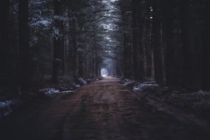 Uma estrada estreita e lamacenta em uma floresta escura