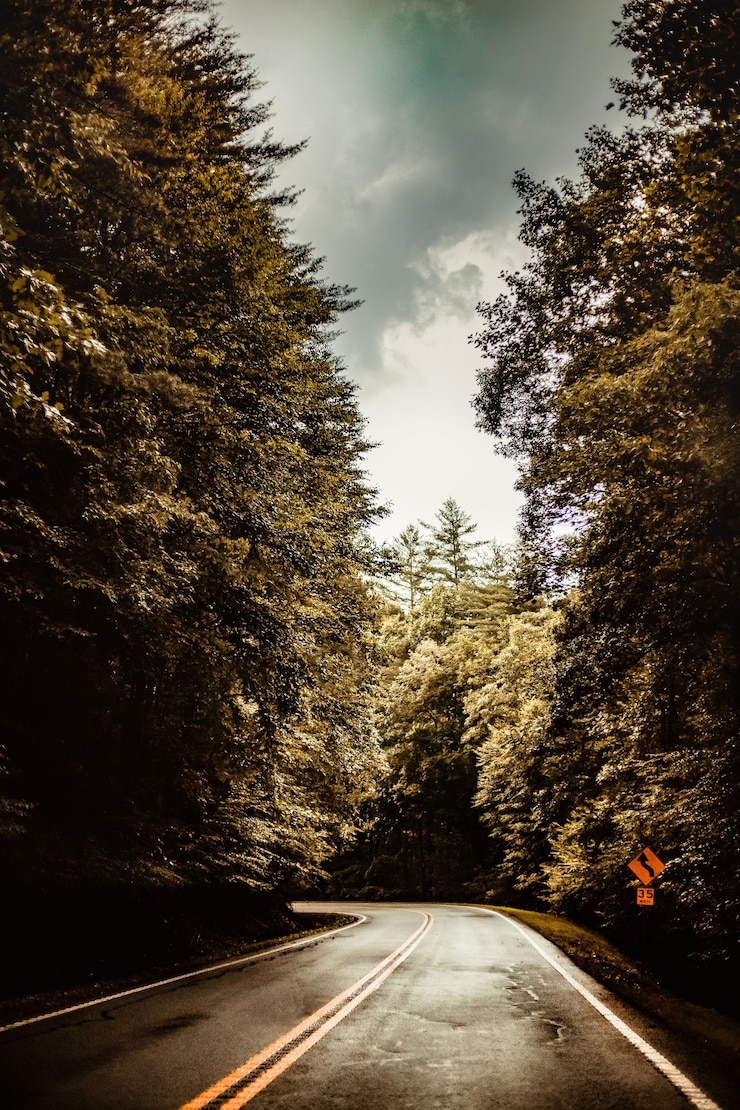 Foto grátis uma estrada vazia no meio da floresta