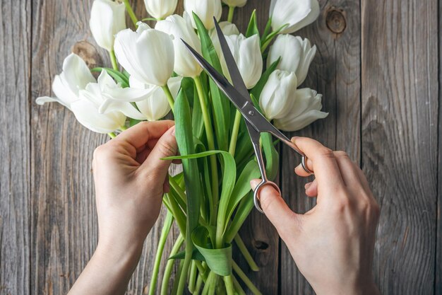 Foto grátis uma florista faz um buquê de tulipas. cortar as extremidades com tesouras.