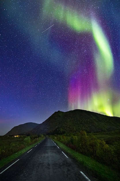 Uma foto vertical de uma estrada vazia sob um céu cheio de estrelas azuis