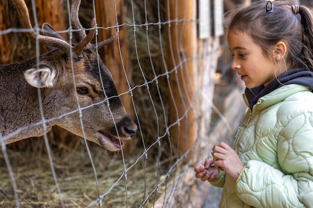 Foto grátis uma garotinha alimenta um veado no zoológico