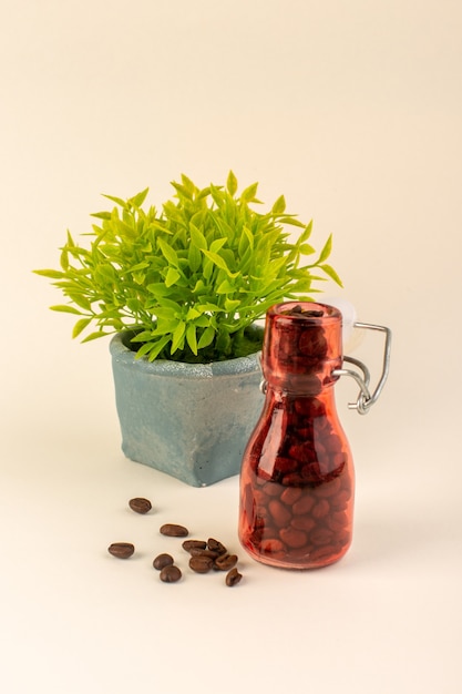 Uma jarra com vista frontal com café e planta verde na mesa rosa, semente de flor de cor de café