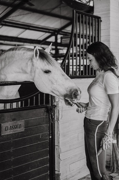 Uma jovem alimenta um cavalo com cenouras.