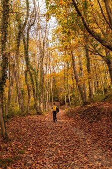 Uma jovem em um caminho de árvores em direção ao monte erlaitz, no outono, na cidade de irun, gipuzkoa. país basco